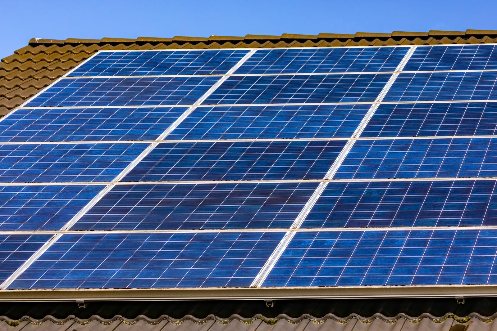 The Importance of Protecting Your Solar Panels from Birds and Rodents